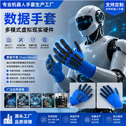 数据功能手套